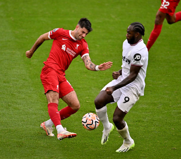 的公正性 的公正性